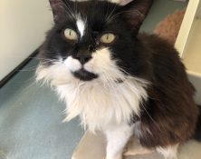 Sid – 16yrs – Male