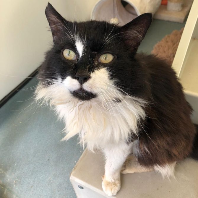 Sid – 16yrs – Male